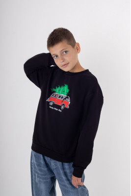 Світшот для хлопчиків